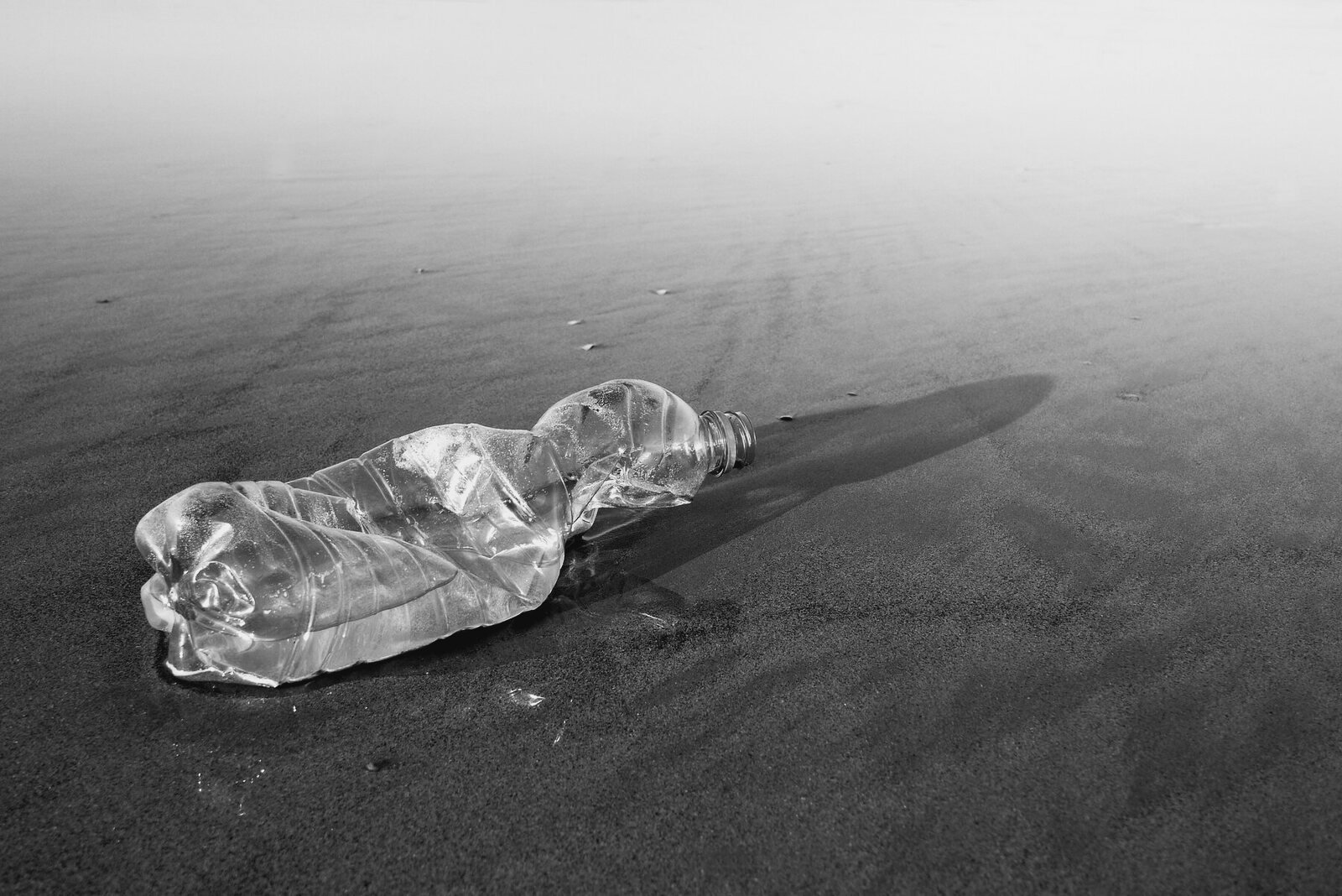 A single plastic bottle washed onto a cold, misted shoreline