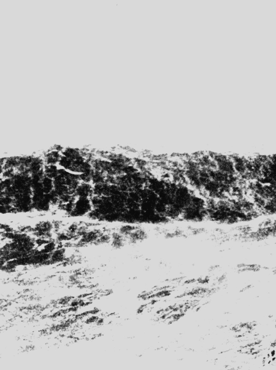 A cold ocean swell, plastic-bound water